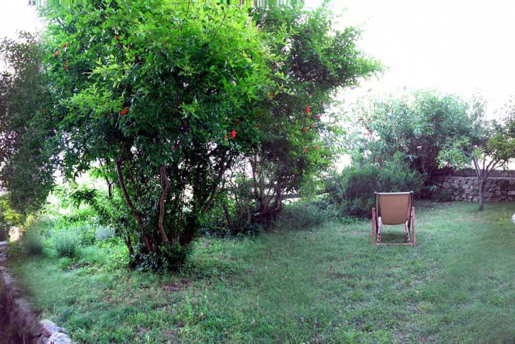 giardino