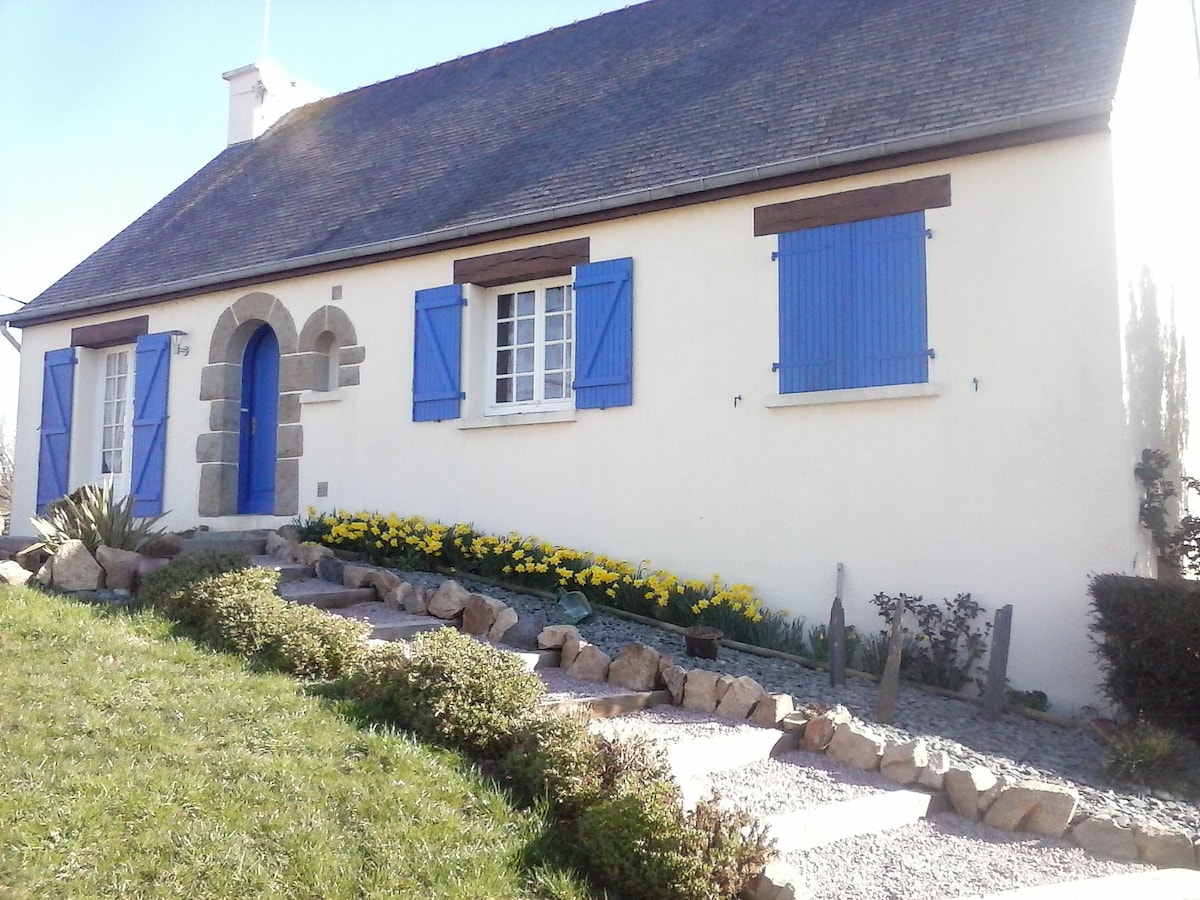 A charming exterior of a cottage is framed by vibrant yellow flowers lining a stony pathway. Blue shutters adorn the windows, contrasting against the light-colored walls. A well-maintained lawn stretches out in front, with a clear sky creating a serene backdrop.