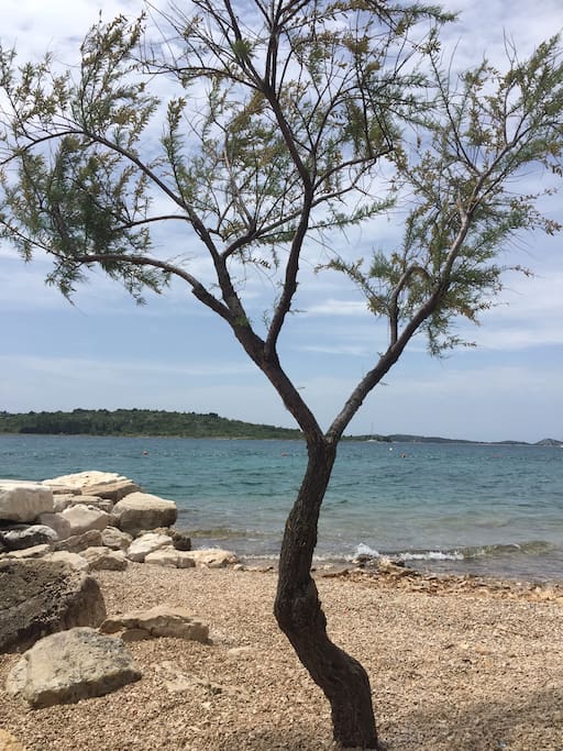 beach