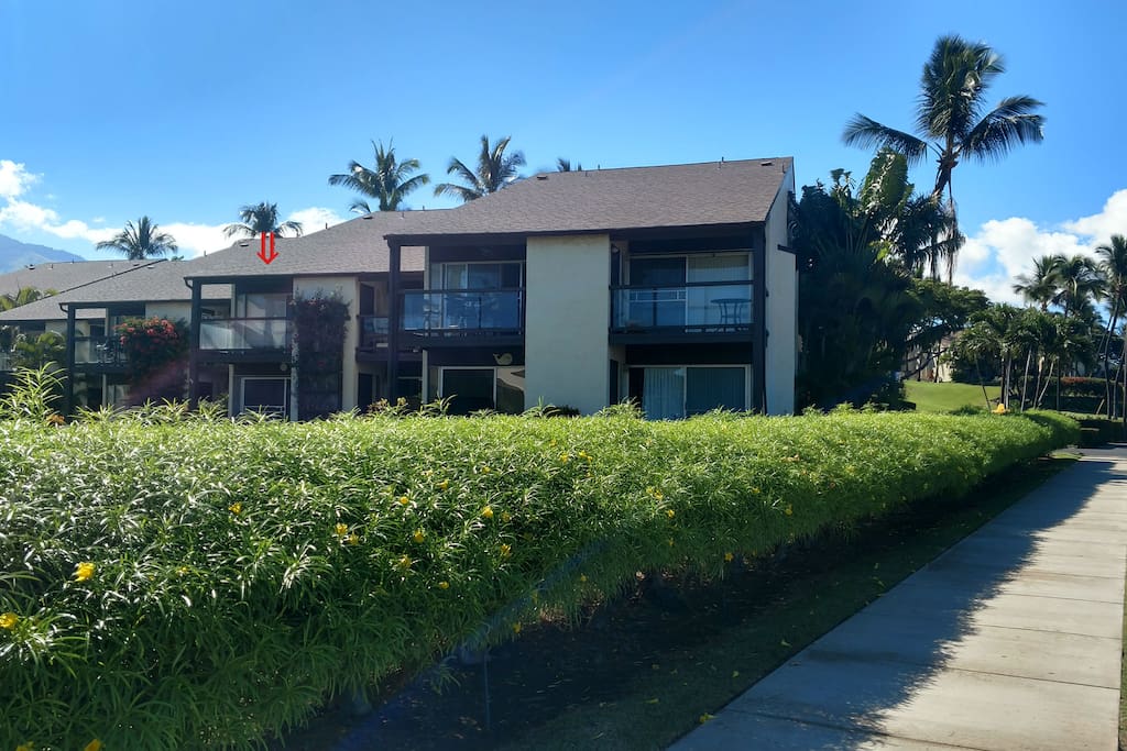 Condo location