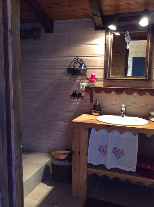 Salle de Bains Douche Chambre 1