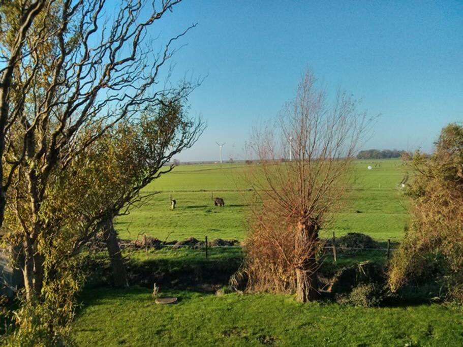Blick auf den Deich