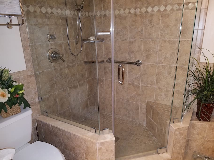 New Master Shower