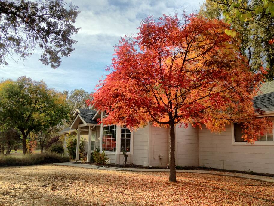 Come enjoy Yosemite in the Fall.