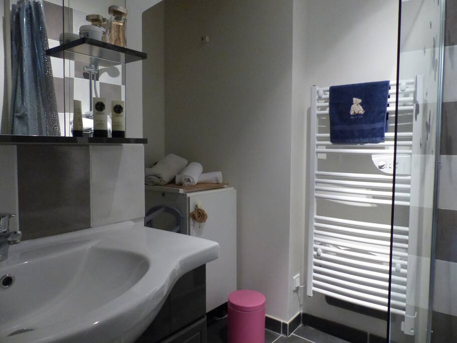 Salle de bain bien équipée avec une douche spacieuce