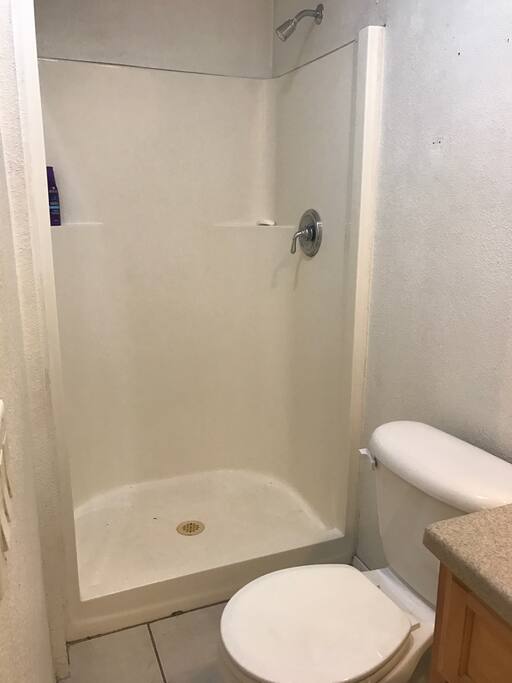 Bathroom, shower and the toilet