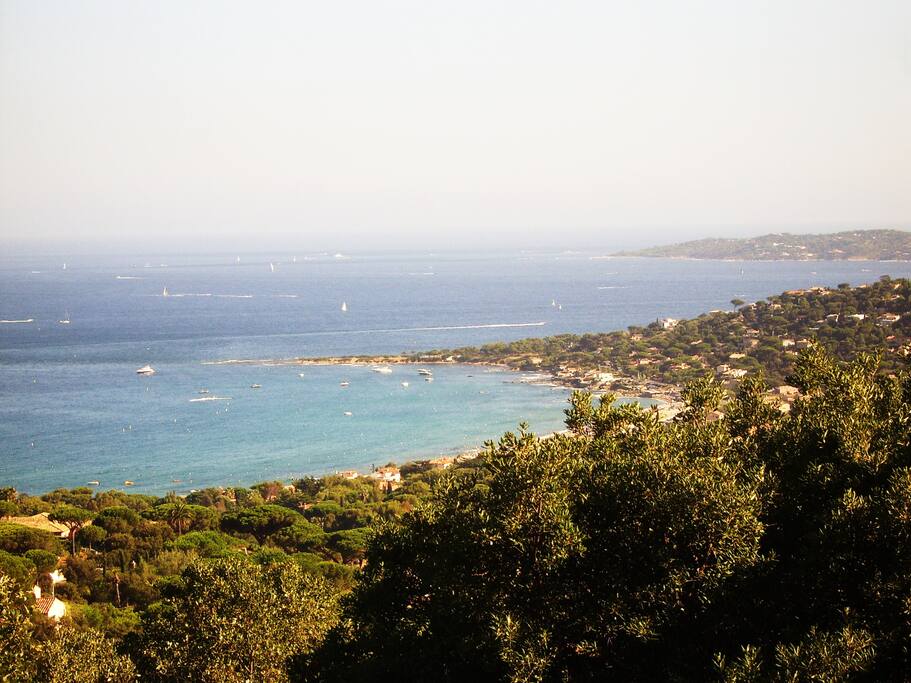 View from the house