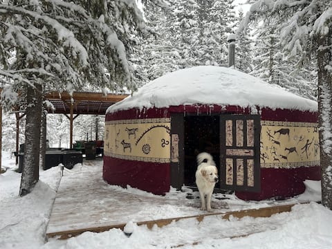 "Shanti Yurt" with private hot tub in Bragg Creek