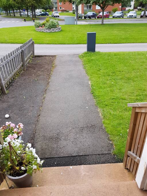 Frontyard