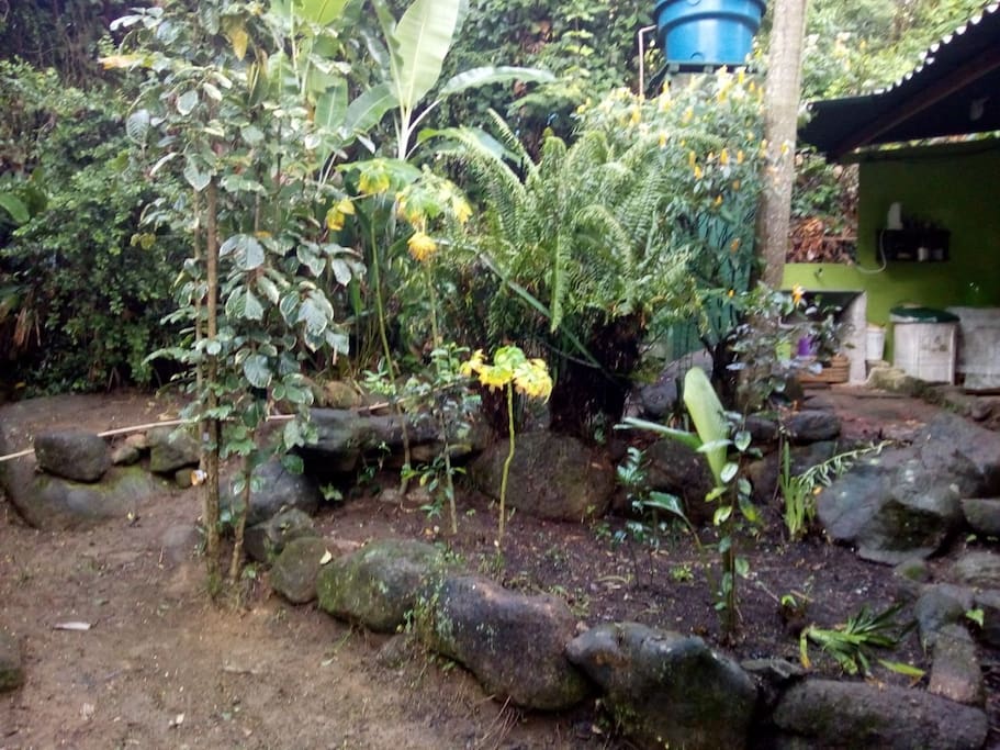 Amplo quintal.