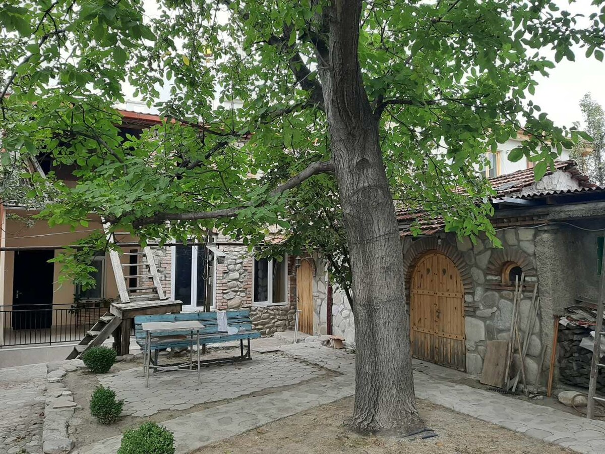 A charming outdoor area features a large tree providing shade over stone pathways and a bench seating area. The exterior of the traditional stone guest house is visible alongside wooden doors. A cozy atmosphere is created by the lush greenery surrounding the setting.