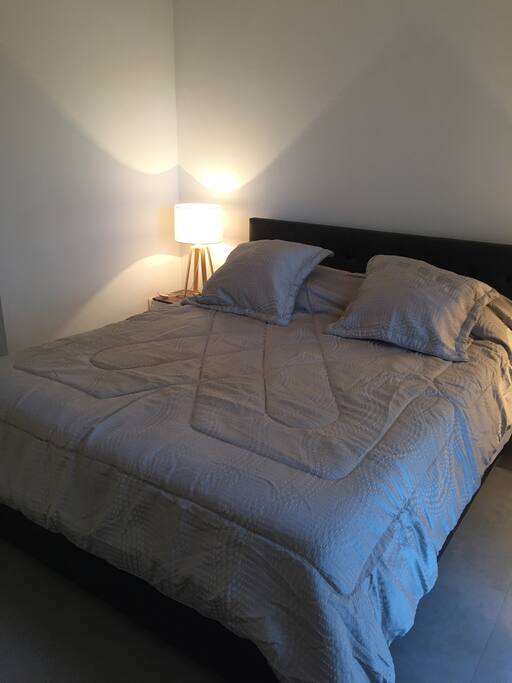 Grande chambre lit en 160 équipée d'une très grande penderie double.