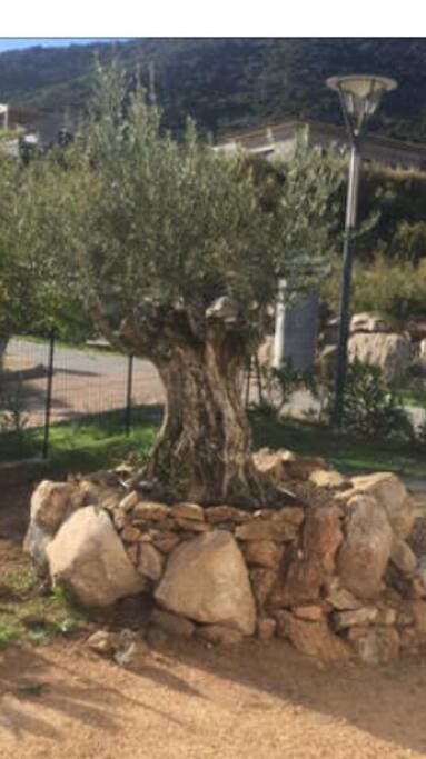 Coin jardin
