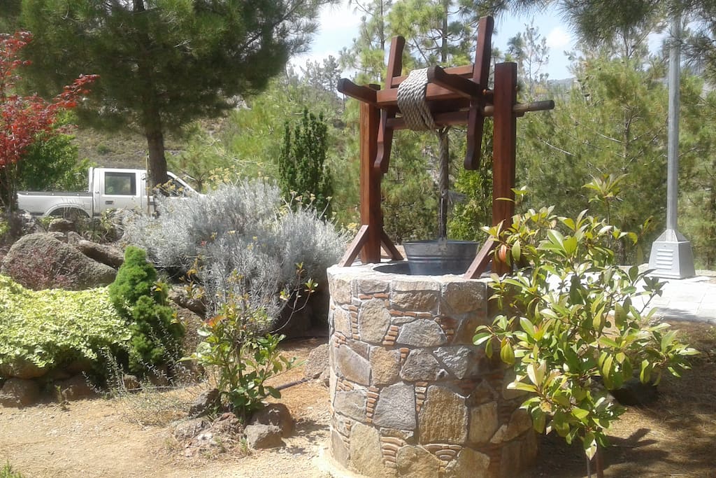 The Local Wishing Well!