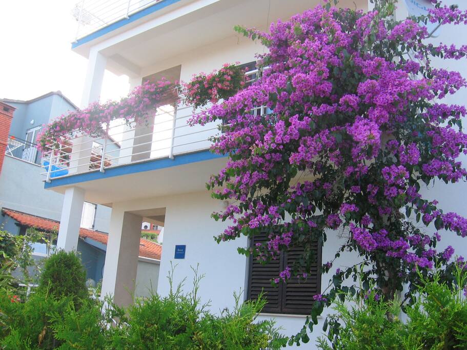 Carpe diem apartment