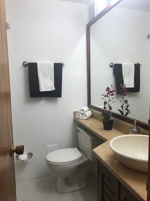 Secondary bathroom / baño secundario o auxiliar