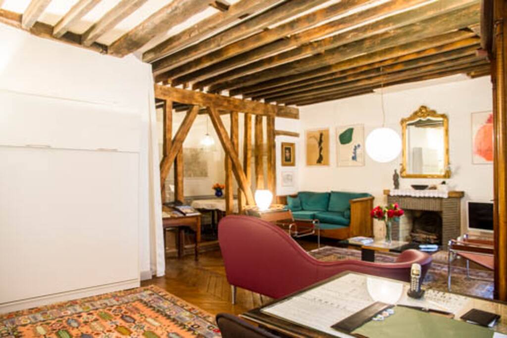 here we can see a murphy bed to provide comfortable bedding to extra guest