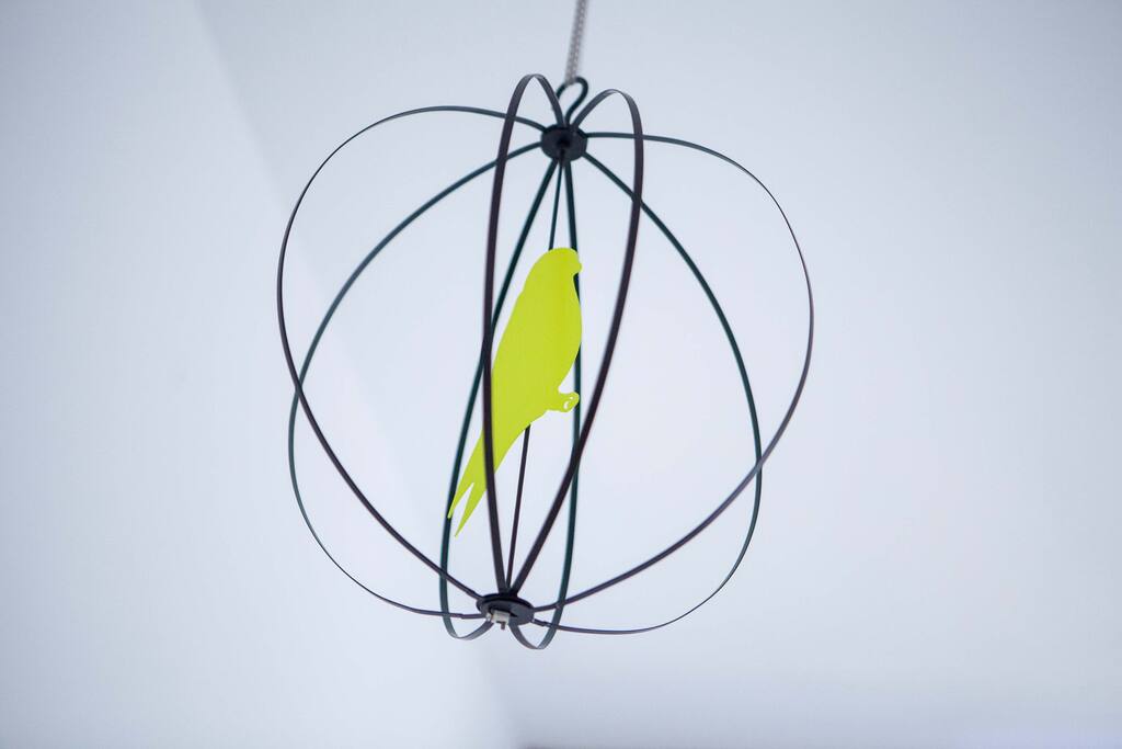 Decoration