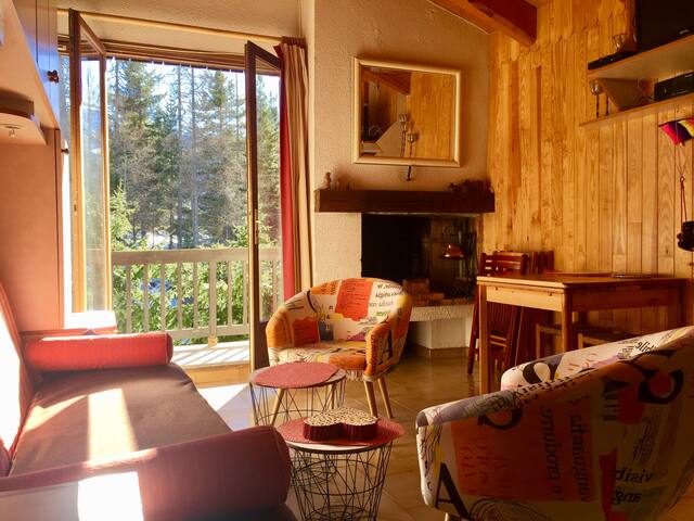 Ski Apartment in Auron