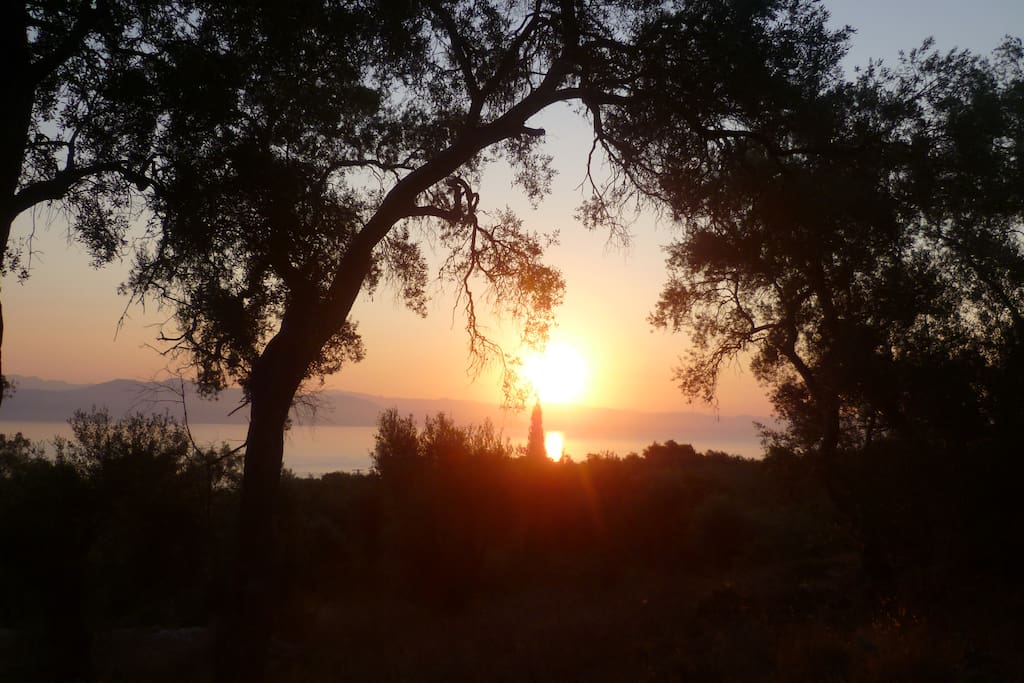 Sunrise from the garden
