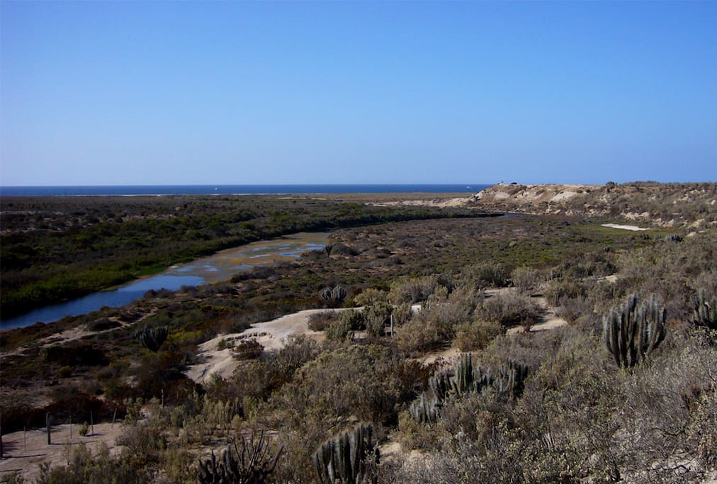 wetland and lagoon, 50 meters from the house