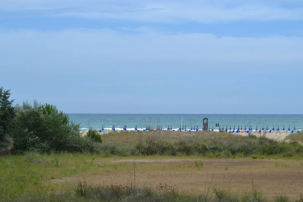 La bellezza delle Dune.........un mare ancora incontaminato........