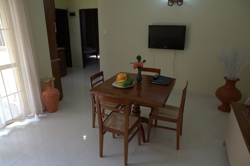 Apartment Living Room