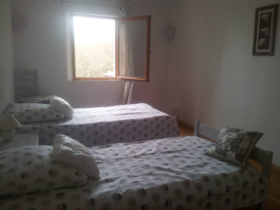 grande chambre 2 lits jumeaux