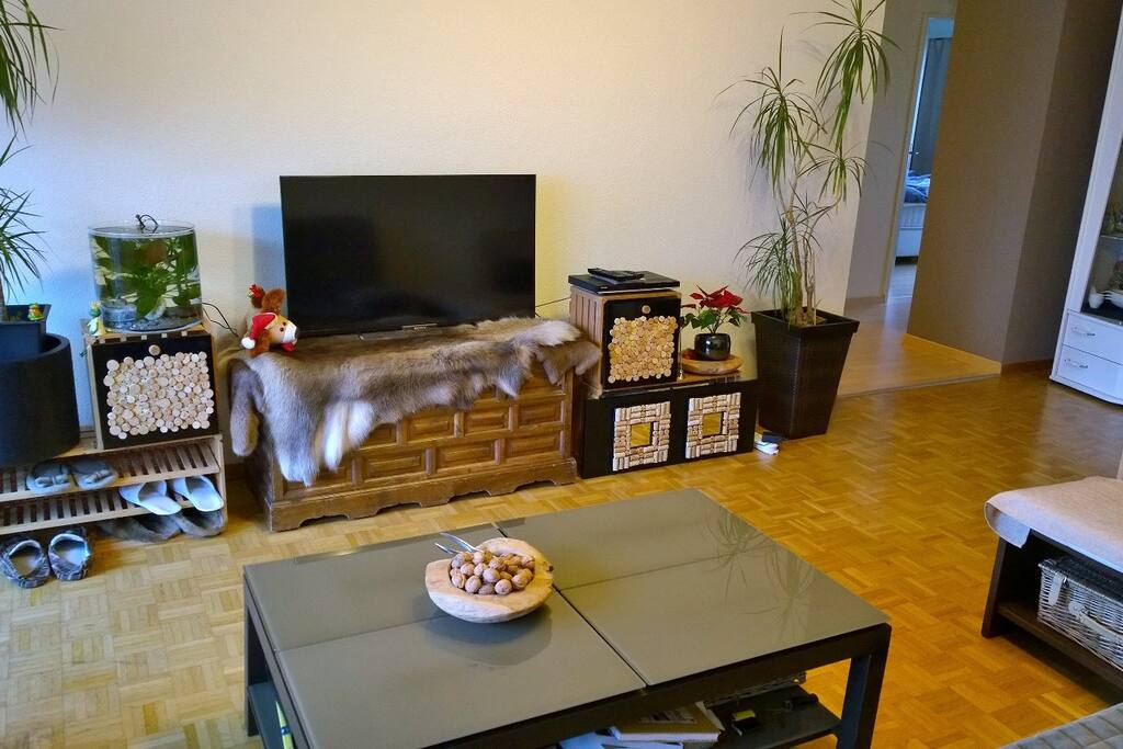 Fernseher