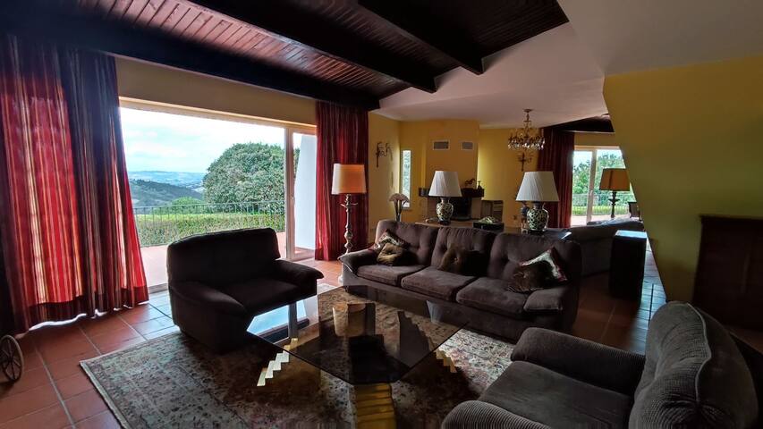 El Molino gallery image 4