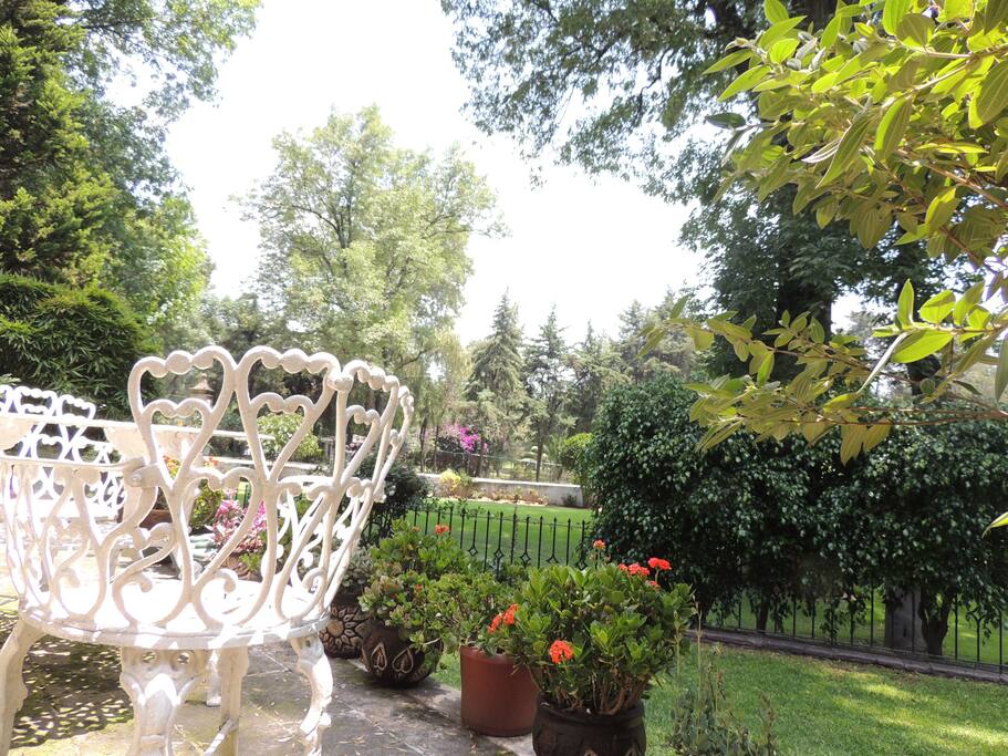 Terrace/Smoking Area