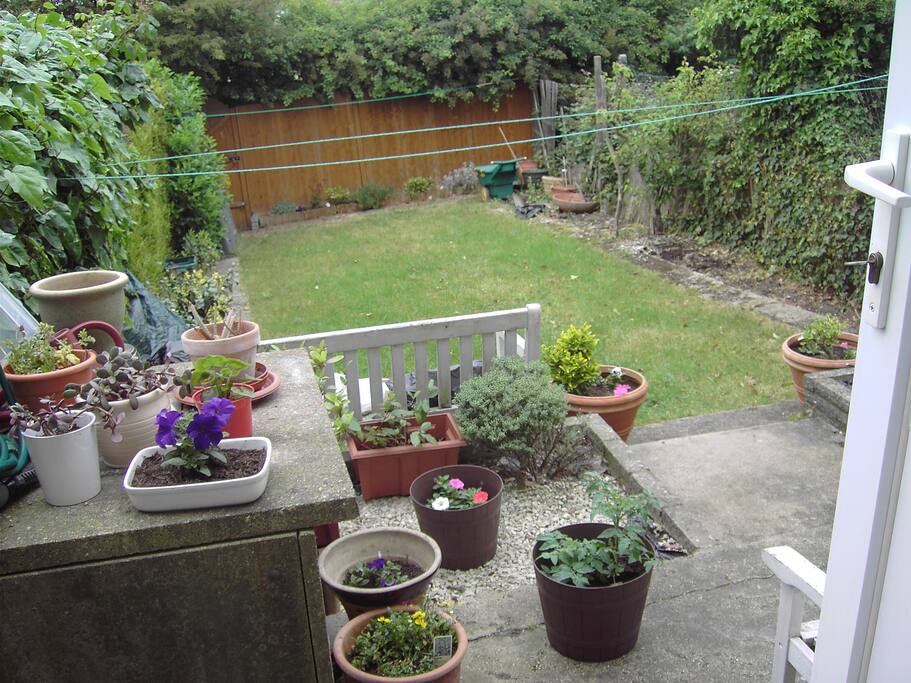 back garden