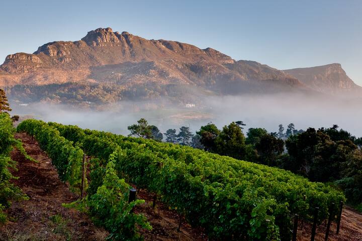 The Constantia Mist Cottage gallery image 5