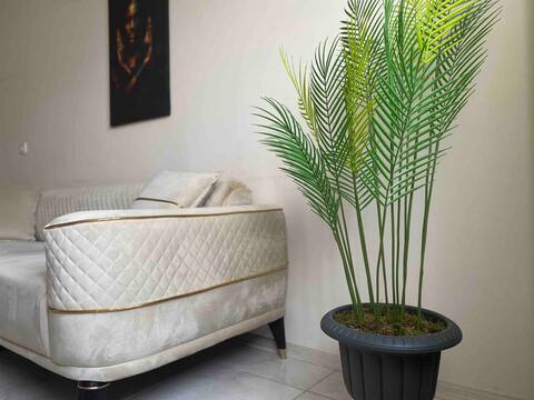 WE ARE AT YOUR SERVICE WITH OUR MODERN & STYLISH SUITES