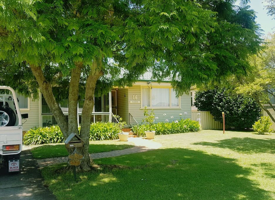 Shady garden and more out back.