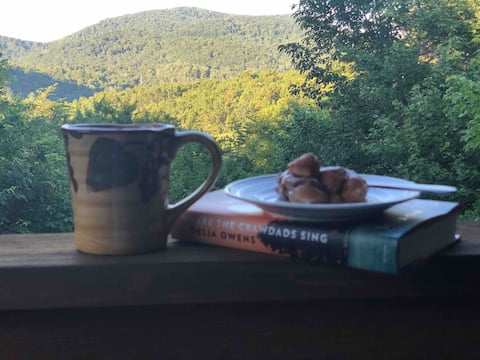 Top performing Airbnb: Mountain views await you at Shady Grove North in North Georgia Mountains