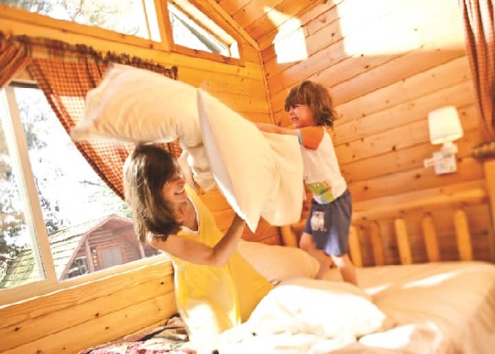 Pet Friendly Deluxe Cabin in Williamsburg, VA Cabins for Rent in