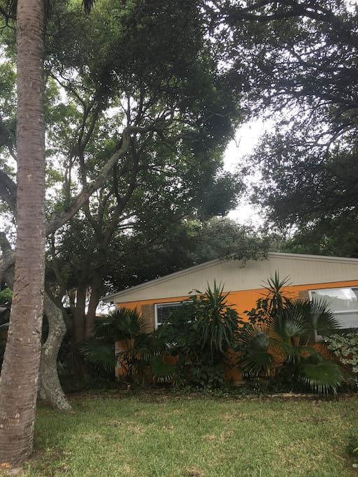 There's lots of privacy and shade here.