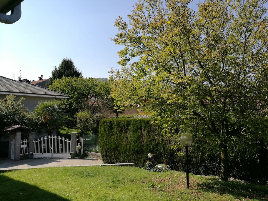 SCORCIO D'INGRESSO