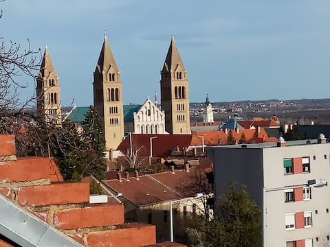 Panoramic apartment close to the center