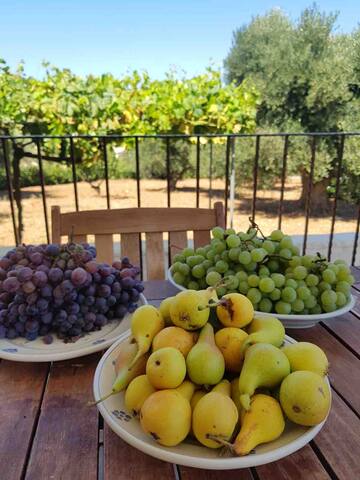 Trullo Maria Leo Puglia – with stunning pool gallery image 4
