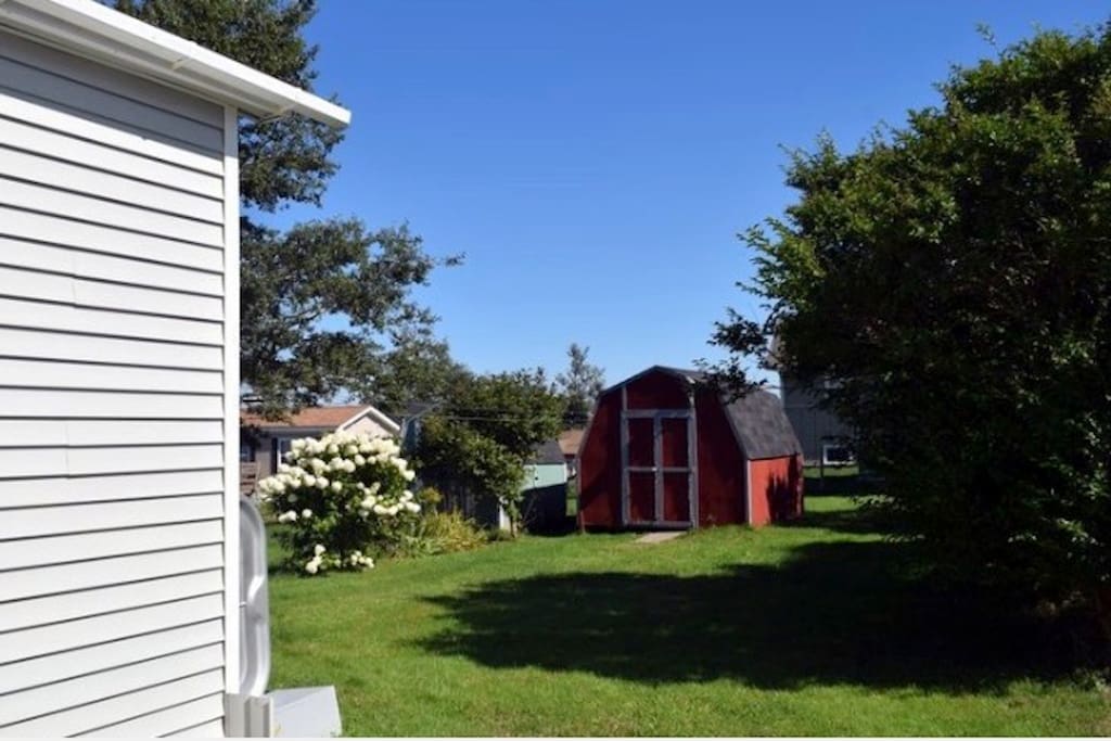 The backyard. BBQ and spare propane tank stored in shed.