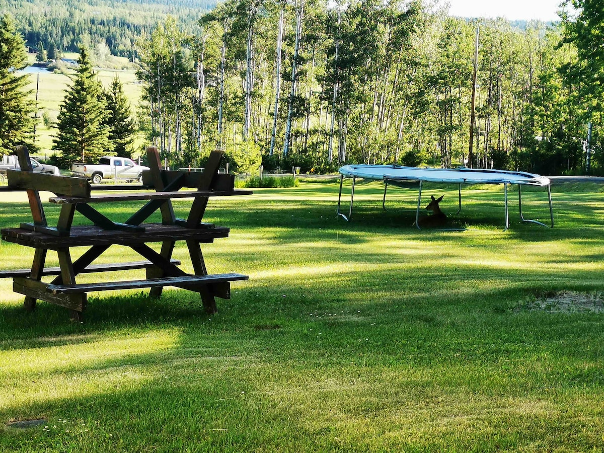A spacious green lawn is featured, with a wooden picnic table to the left and a trampoline visible to the right. Tall trees line the background, adding a natural setting. The area invites outdoor activities and encourages relaxation in an open environment.