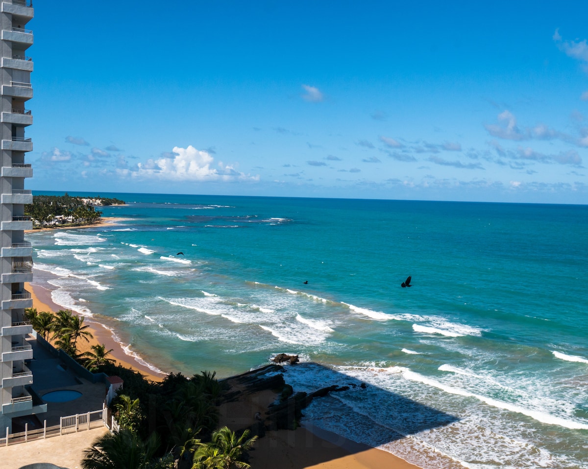 A panoramic ocean view is displayed, showcasing gentle waves lapping at a sandy beach under a clear blue sky. The distant shoreline is lined with lush greenery, enhancing the tranquil atmosphere of the coastal landscape.