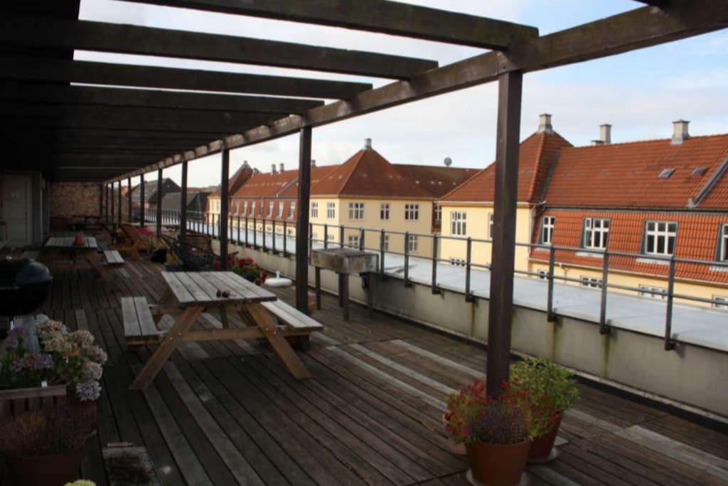 The rooftop terrace