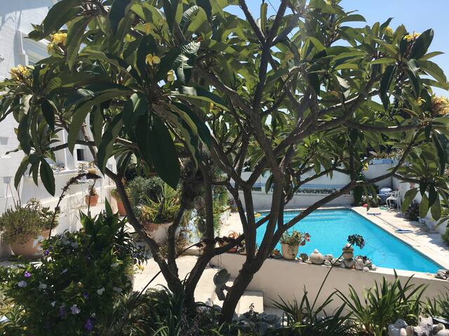 Sunny artist home in perfect location! gallery image 2