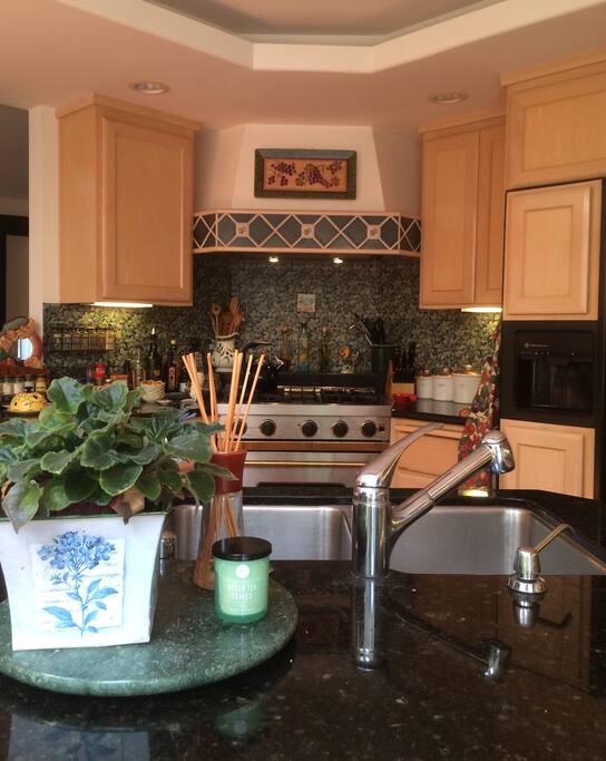 Gourmet kitchen