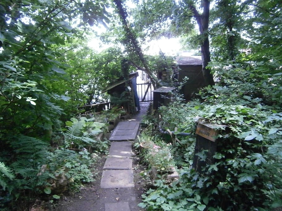 The path leading to the Cabin and the Jetty