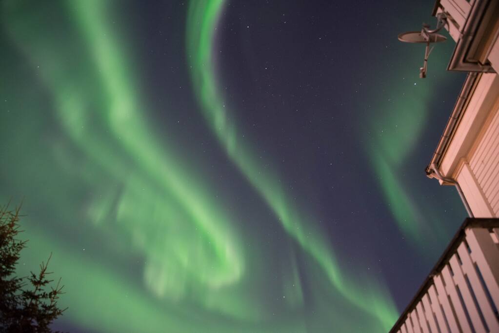 Northern Lights above my house