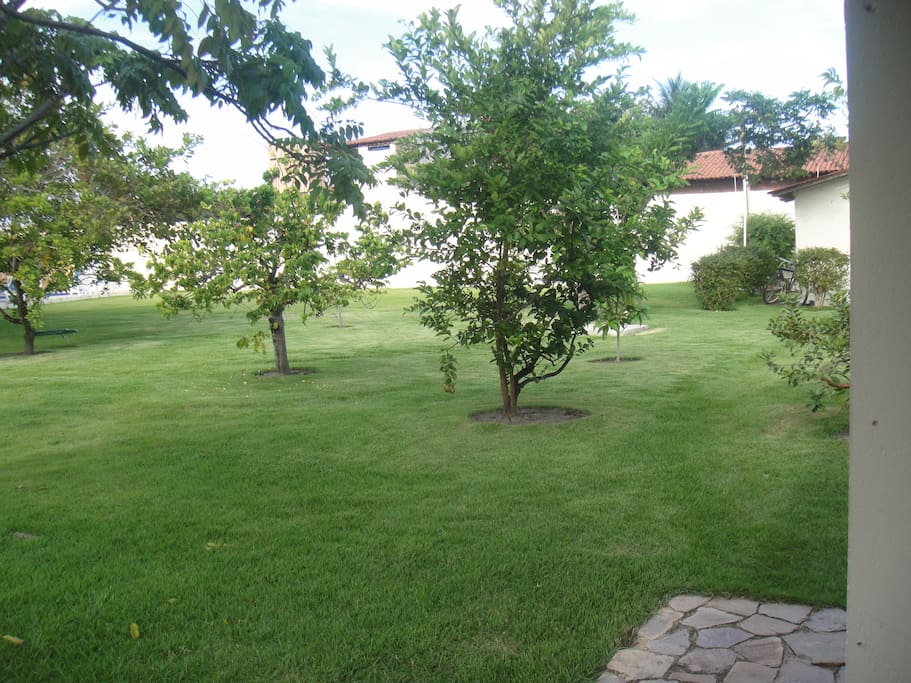 Jardim todo gramado